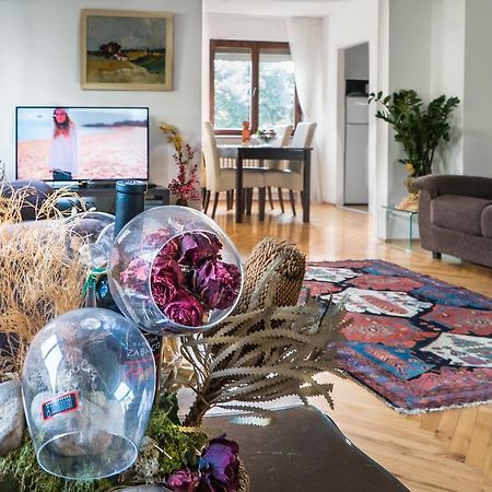Sensitive Apartment ベオグラード エクステリア 写真
